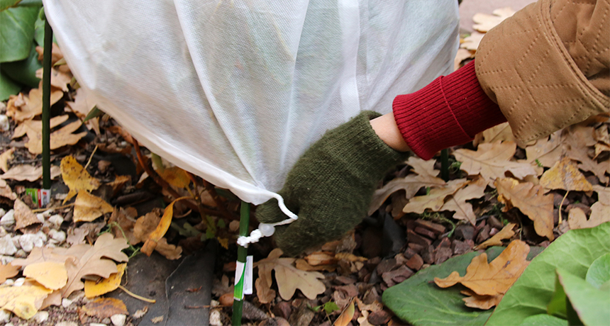 Ouverture ou fermeture de votre terrain pour la saison à venir.