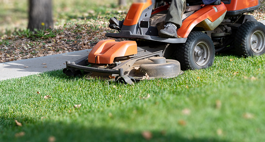 Tonte de pelouse, aménagement et entretien paysager.