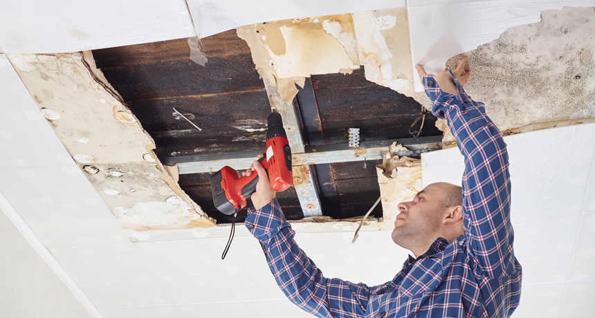 Diagnostic et recommandations pour réparation de plafond.